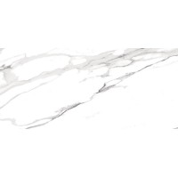 fOT6 Керамогранит Roma Statuario Matt 30x60