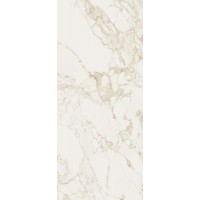 fOWR Керамогранит Roma Calacatta Silk 120x278