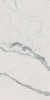 fPZ8 Roma Gold Carrara Superiore Brillante 80x160