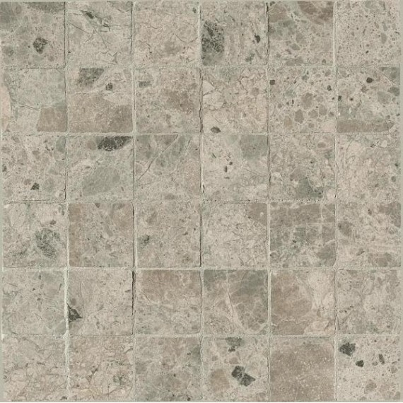 Мозаика fQNT Nativa Grey Macromos. Anticato Satin 30x30