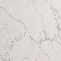 fQVZ Roma Stone Carrara Delicato Satin 80х80