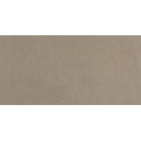 fRGV Плитка Sheer Taupe RT 80x160
