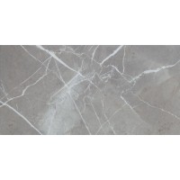 n074354 MUSEUM GREY 60х120