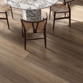 Four Seasons Flaviker