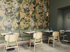 Silk Ape Ceramica
