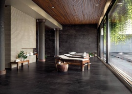 WISE Atlas Concorde Russia