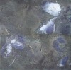 Декор Euphoria dec. Zaffiro (комп/2шт) 25,1х50,5
