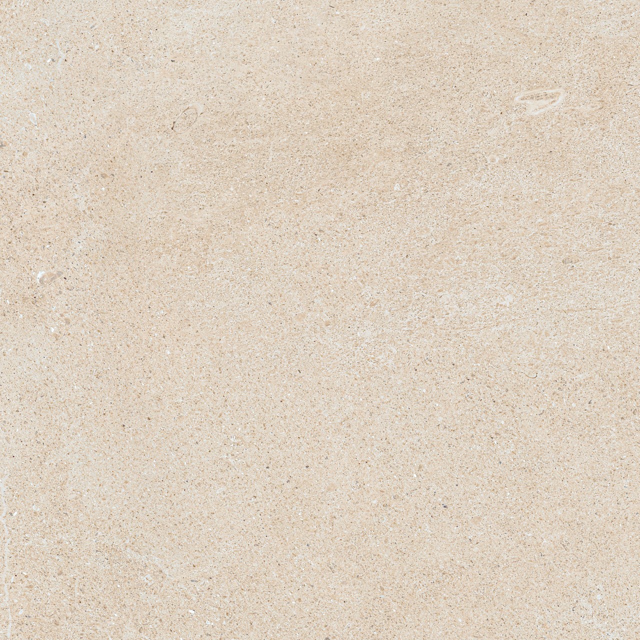 Керамогранит 610010005835 Forte dei Marmi Rock Siberian Ivory Lastra 20mm 60x60