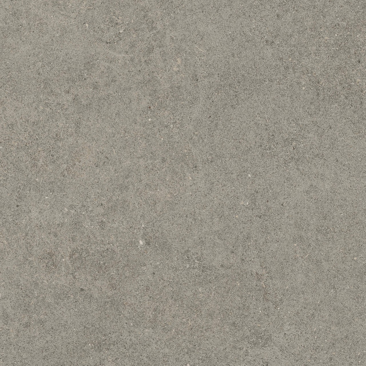 Керамогранит 610010005836 Forte dei Marmi Rock Lunar Grey Lastra 20mm 60x60