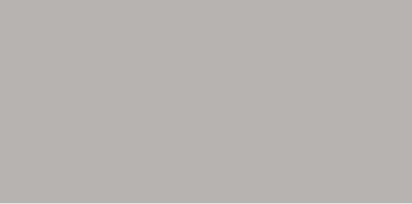 Керамическая плитка GAAD8110 Color Two 10*20