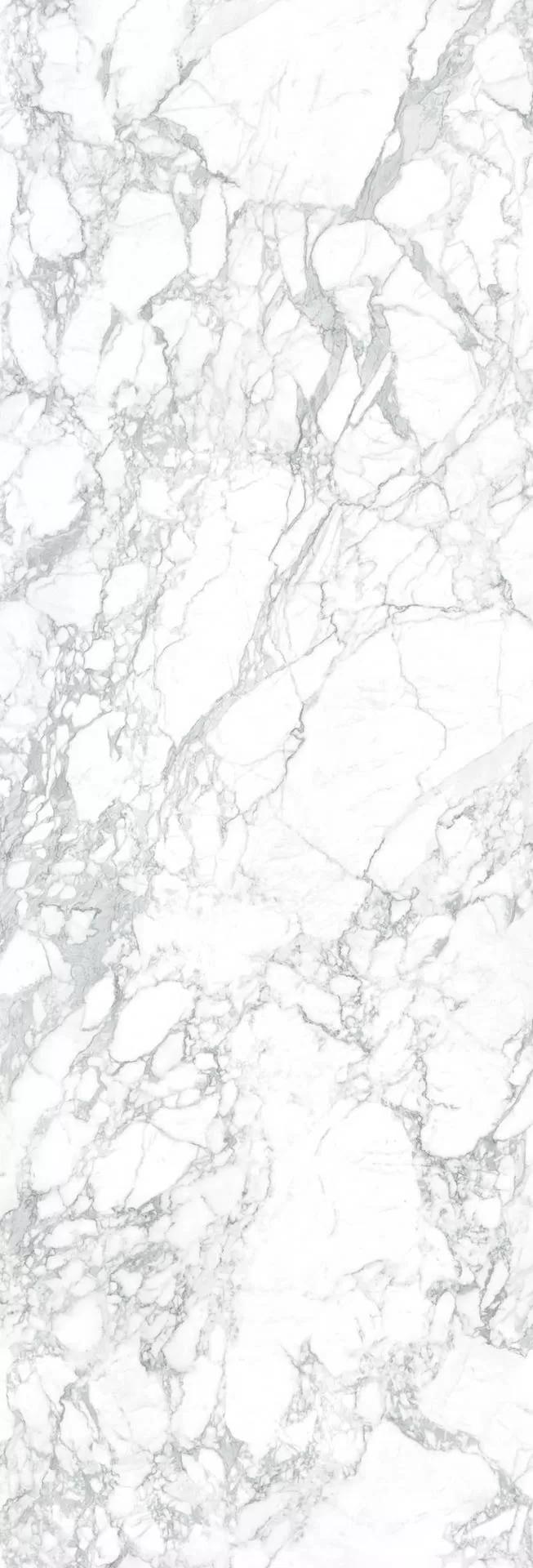 Керамогранит LAMFF00566_IT Керамогранит I Naturali Marmi Arabescato Lucidato 5 1000x3000