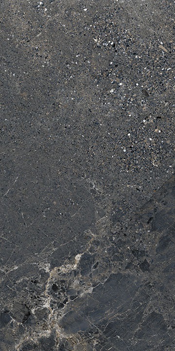 Керамогранит LGXAL50 Керамогранит Anthology 05 Dark Worn RT 9.5mm 60x120