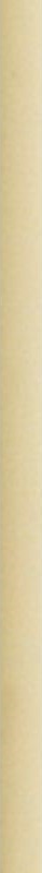 Керамическая плитка RAC JOL 02 Raccordo Jolly Crema 1,2x20