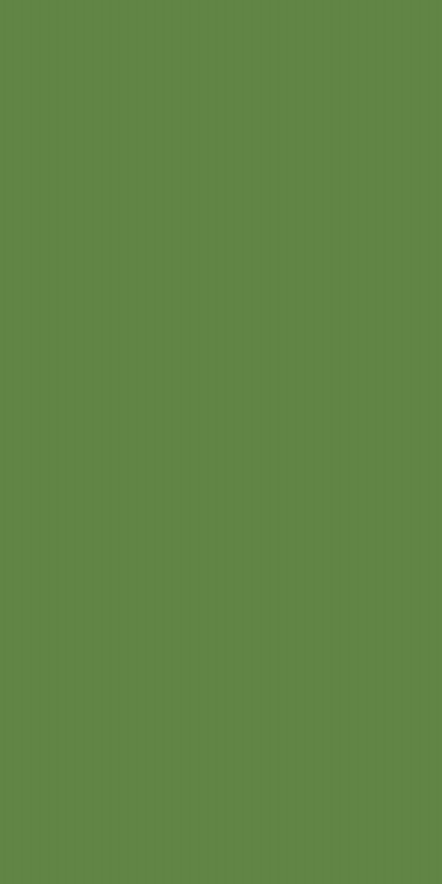 Керамогранит YC 95 Your Color неполированный 60x120x10