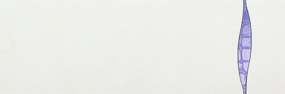 Керамогранит 76965- Decoro Wave White/Lilla Croco Joy 24x72