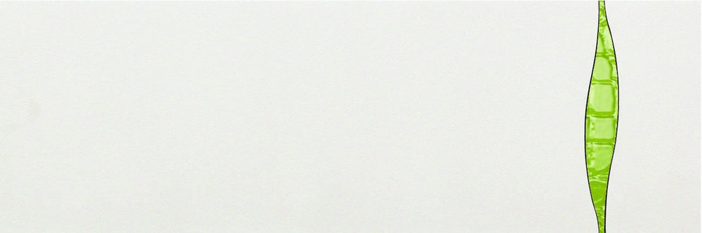 Керамогранит 76967- Decoro Wave White/Green Croco Joy 24x72
