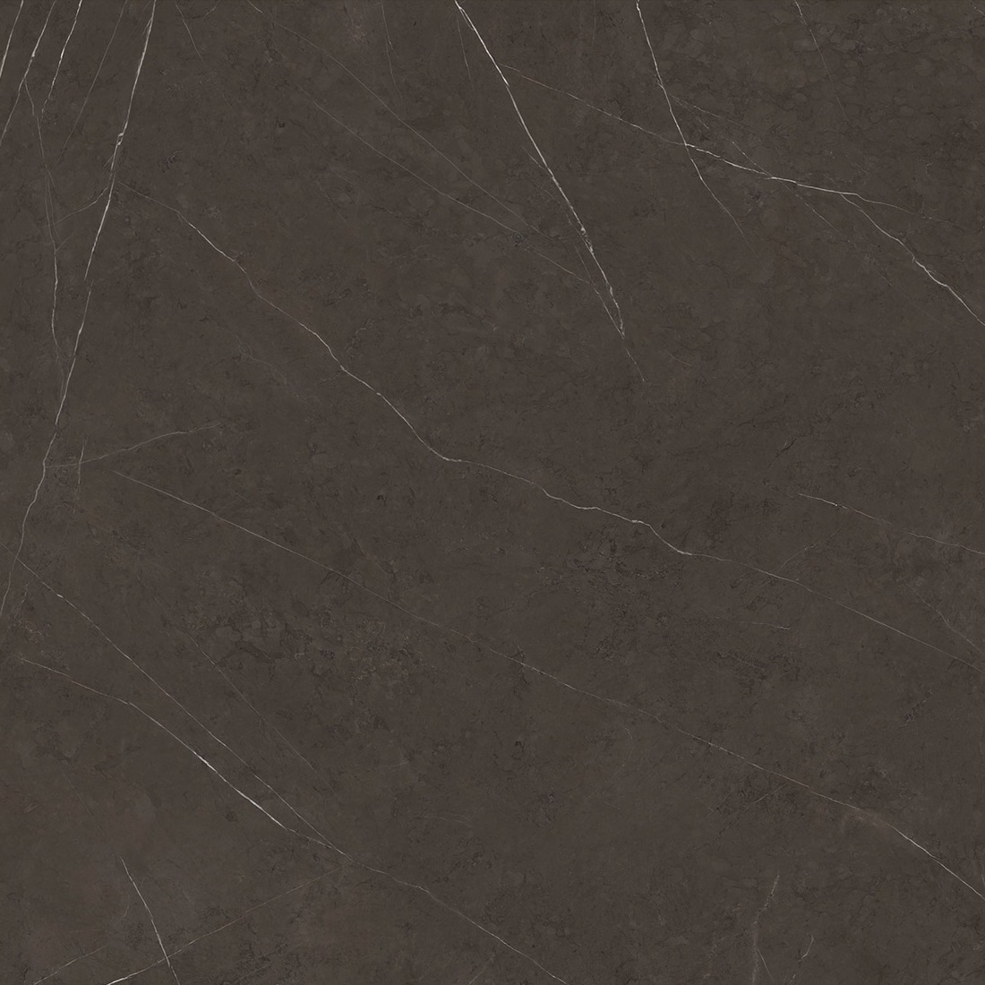 Керамогранит C221101581 Xlight Premium 120x120 Liem Dark Nature (6 мм)