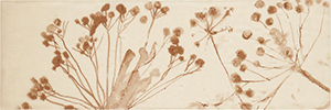 Керамогранит Плитка 754933 Decoro Aura Spice Glossy 10X30