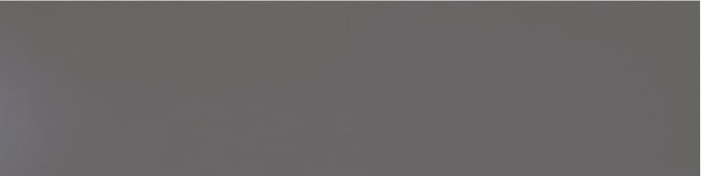 Керамическая плитка BS RIPOSO 80 10 FASCIA RIPOSO LISCIA GRIGIO VISONE 20X80